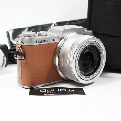 Lumix GF8