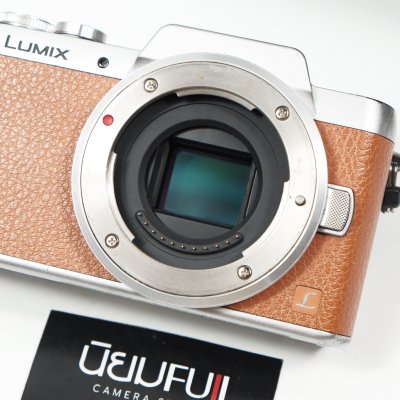 Lumix GF8