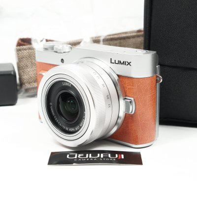 Lumix GF10