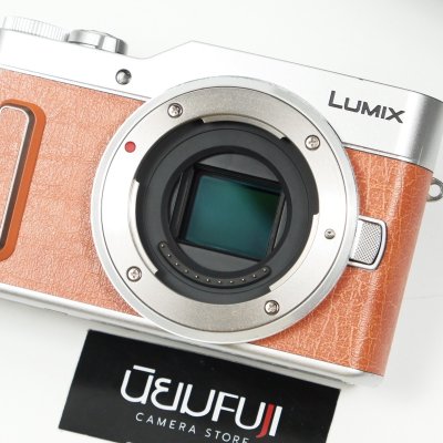 Lumix GF10