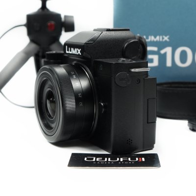 Lumix G100V