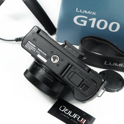 Lumix G100V
