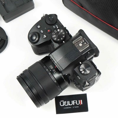 Lumix G95
