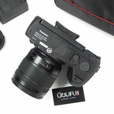 Lumix G95