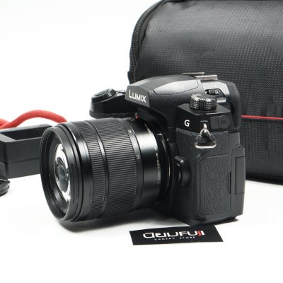 Lumix G95