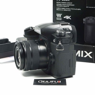 Lumix G90
