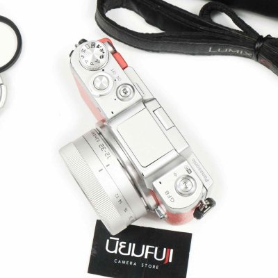 Lumix GF8