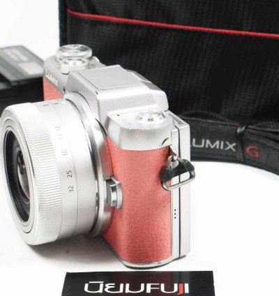 Lumix GF8