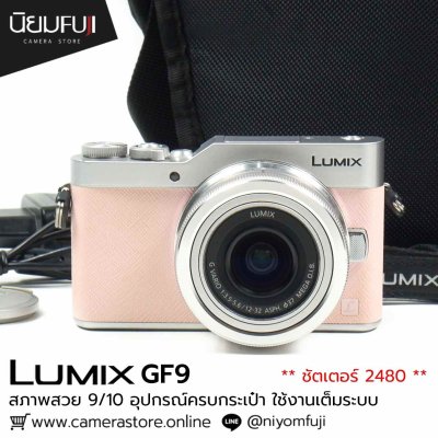 Lumix GF9