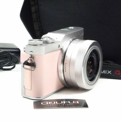 Lumix GF9