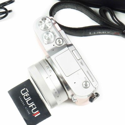 Lumix GF9