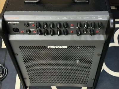 Acoustic Guitar Fishman Performer