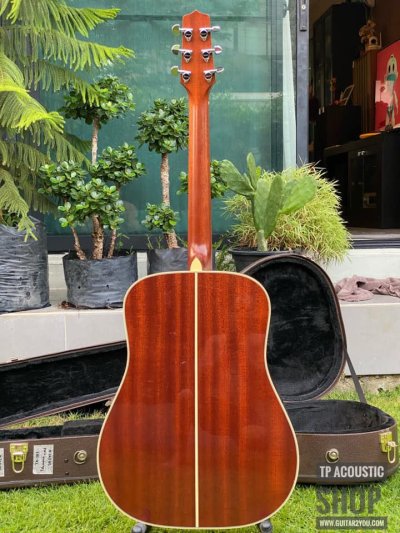 Takamine SA-241 N