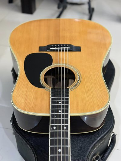 Cat's Eyes CE-1300CF