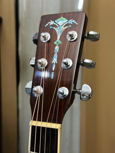 Cat's Eyes CE-1300CF