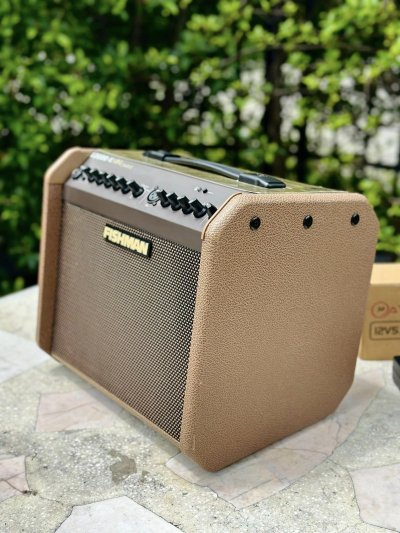 FISHMAN LOUDBOX MINI CHARGE