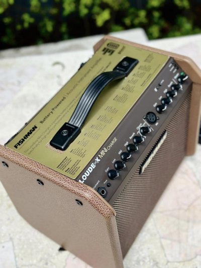 FISHMAN LOUDBOX MINI CHARGE