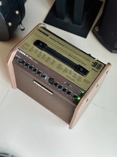 FISHMAN LOUDBOX MINI CHARGE
