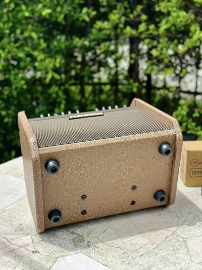 FISHMAN LOUDBOX MINI CHARGE