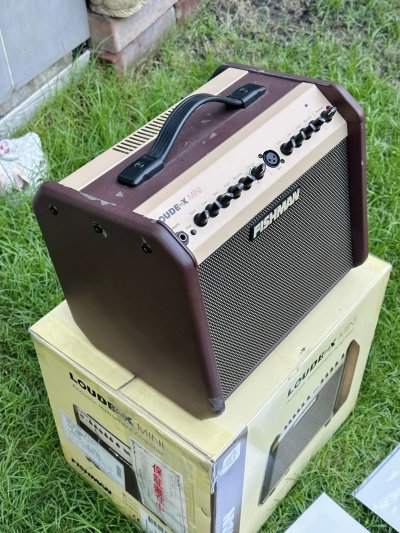 Fishman LoudBox Mini