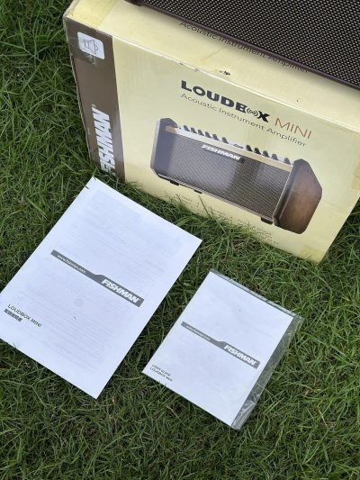 Fishman LoudBox Mini
