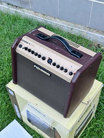 Fishman LoudBox Mini