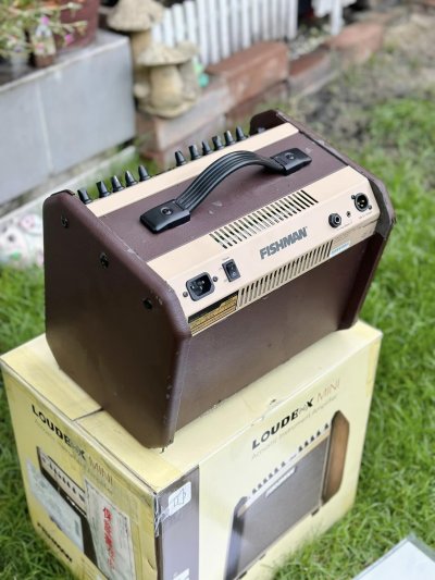 Fishman LoudBox Mini