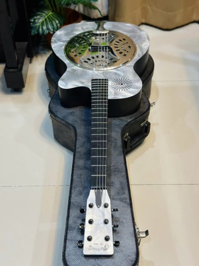 Martin Alternative II Resonator