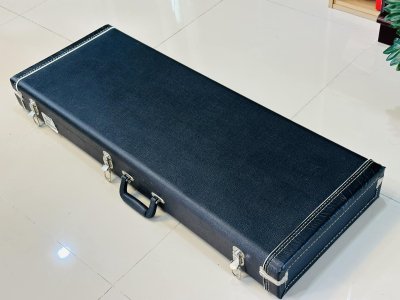 PRS S2 Custom 22