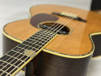 Takamine NV-460S