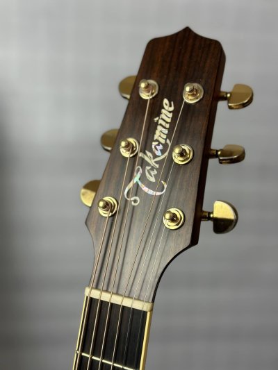 Takamine NV-460S