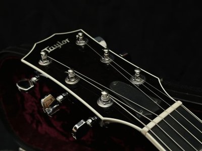 Taylor T5-S1 Hollo Body