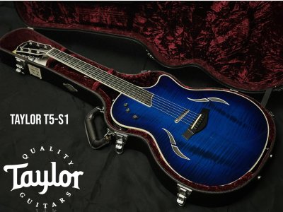 Taylor T5-S1 Hollo Body