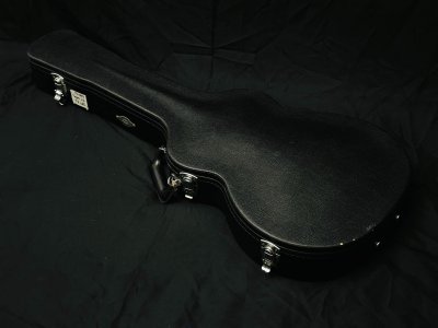 Taylor T5-S1 Hollo Body