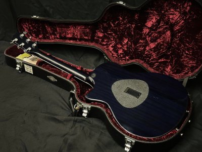 Taylor T5-S1 Hollo Body