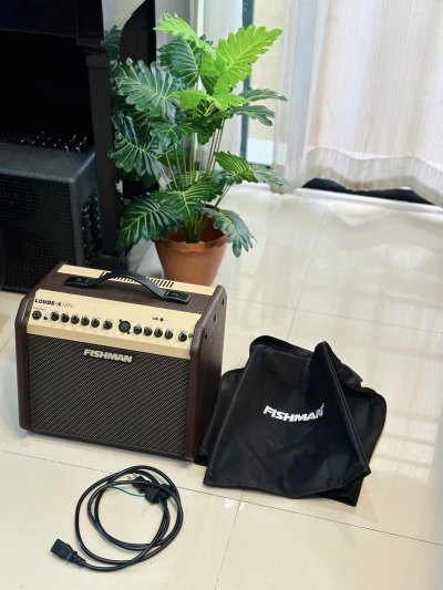 Fishman Loud box mini