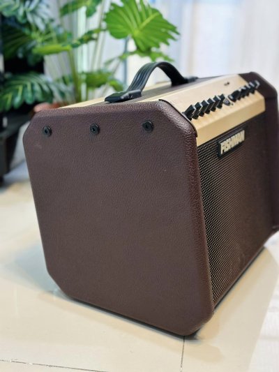 Fishman Loud box mini