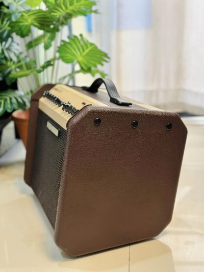 Fishman Loud box mini