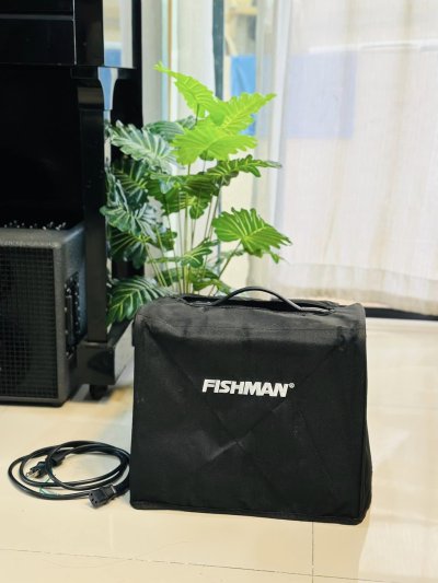 Fishman Loud box mini
