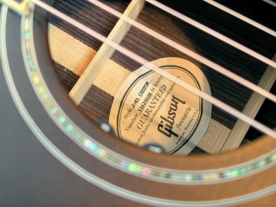 Gibson J-45 Custom Limited Rose
