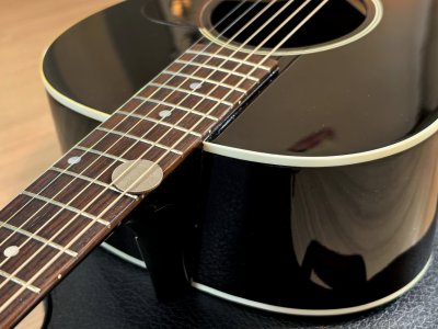 Gibson L-00