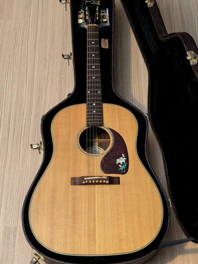 Gibson J-15