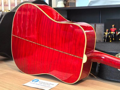 Gibson Dove