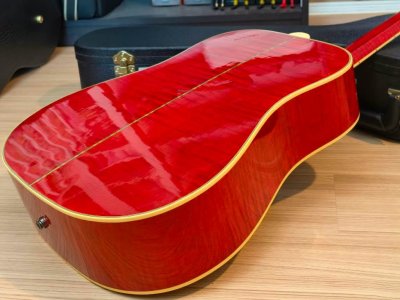 Gibson Dove