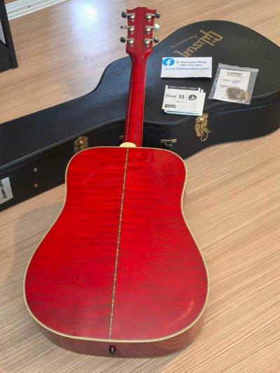 Gibson Dove