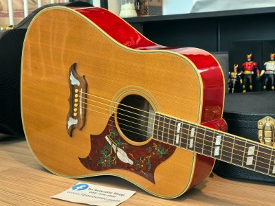 Gibson Dove