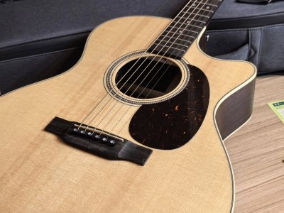 Martin GPC-16E Rosewood