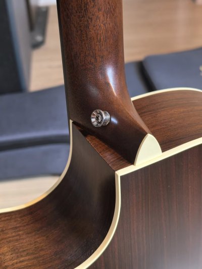 Martin GPC-16E Rosewood