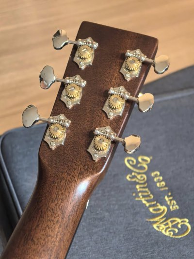 Martin GPC-16E Rosewood