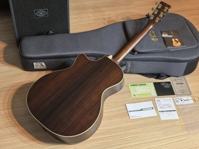Martin GPC-16E Rosewood